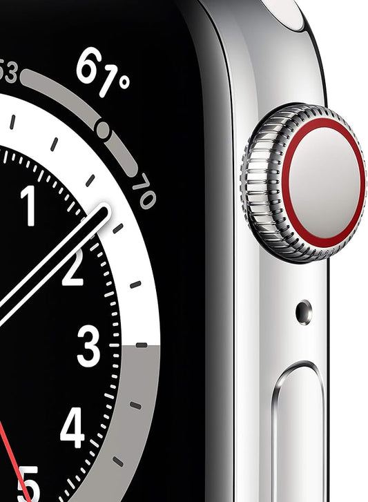 Apple Watch Series 6  – Silver Stainless Steel Case with White Sport Band (Regular)